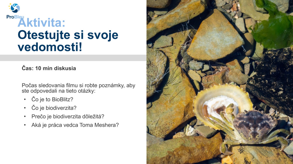 Aktivita: 