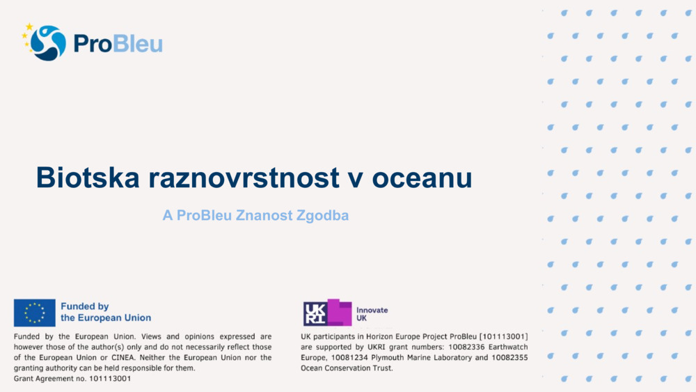 Biotska raznovrstnost v oceanu