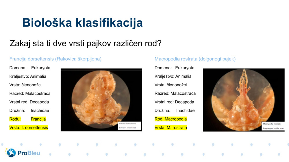Francija