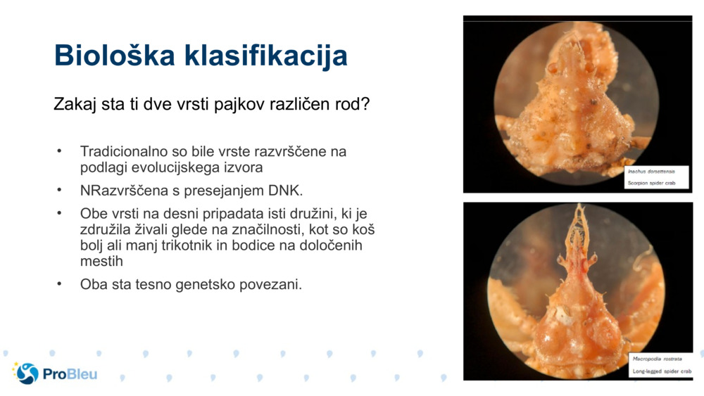 Biološka klasifikacija 