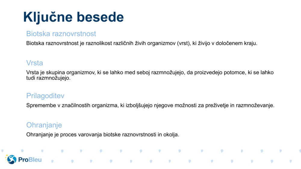 Ključne besede