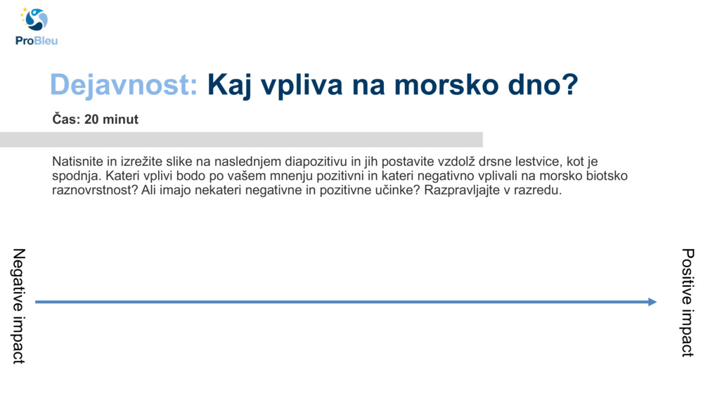 Dejavnost: 