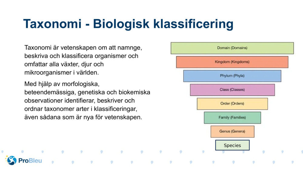 Taxonomi är vetenskapen om att namnge, beskriva och klassificera organismer och omfattar alla växter, djur och mikroorganismer i världen.