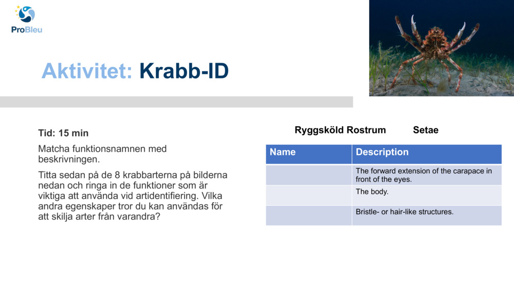 Aktivitet: 