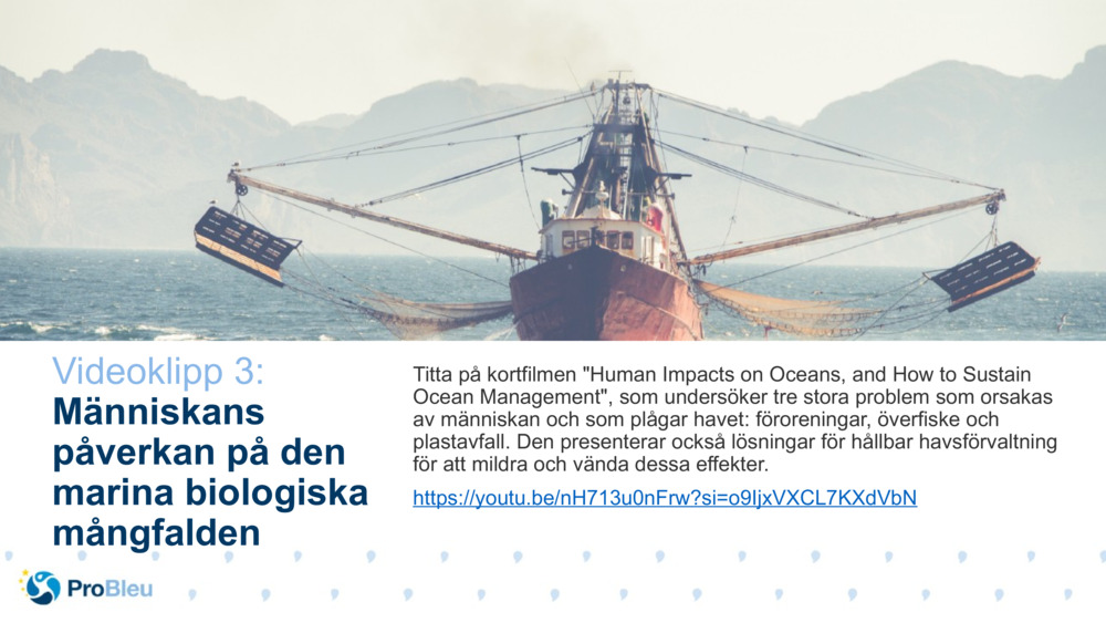 Videoklipp 3: 