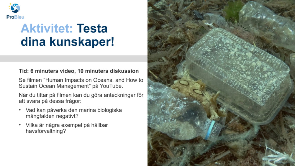 Aktivitet: 
