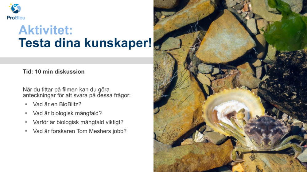 Aktivitet: 