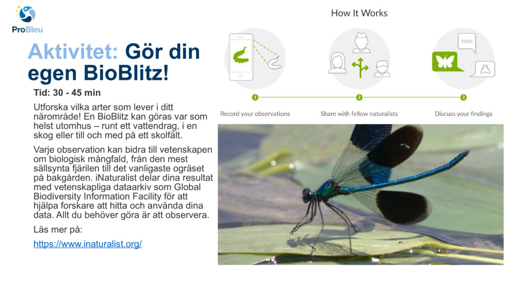 Aktivitet: 