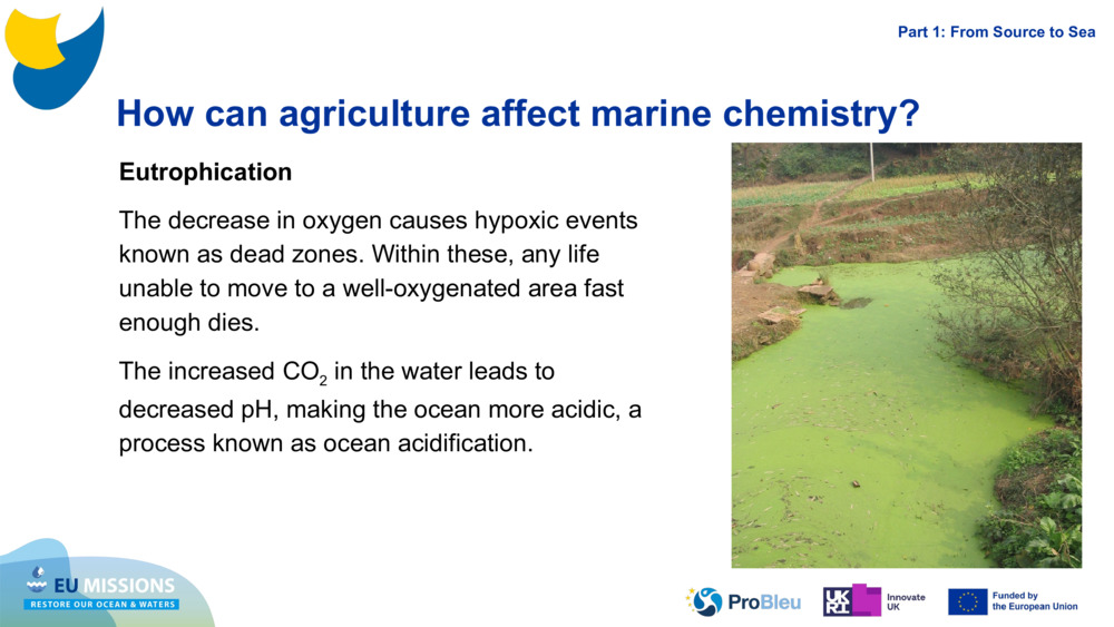 Eutrophication