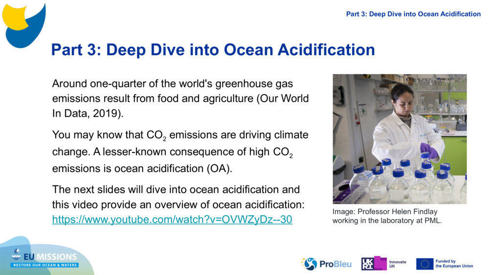 Part 3: Deep Dive into Ocean Acidification