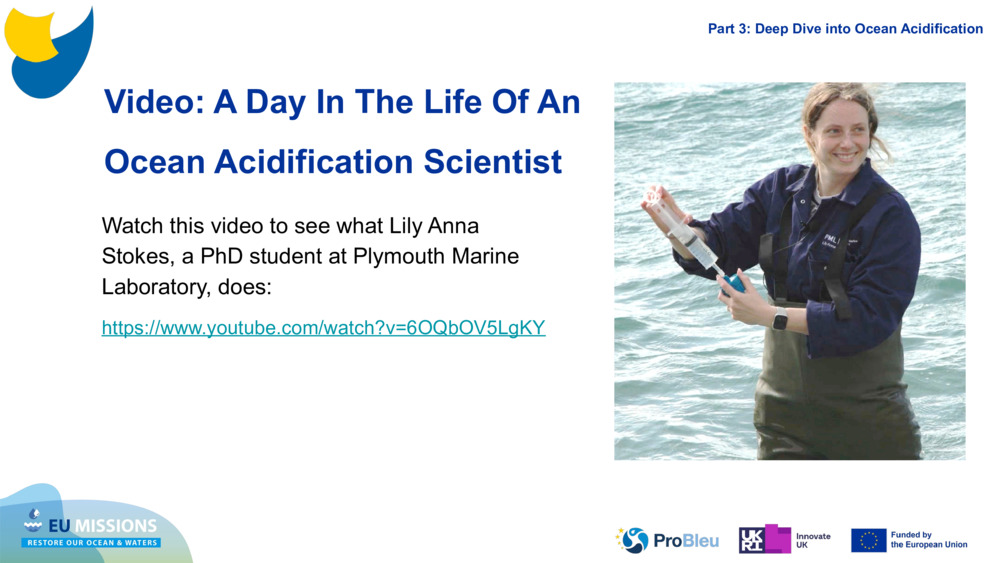 Video: A Day In The Life Of An 