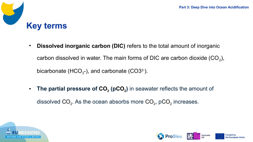 Key terms
