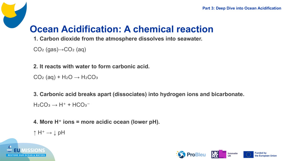 Ocean Acidification: A chemical reaction