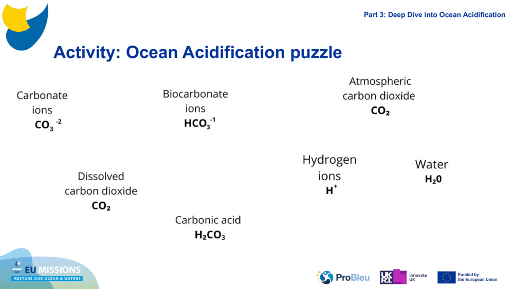 Activity: Ocean Acidification puzzle