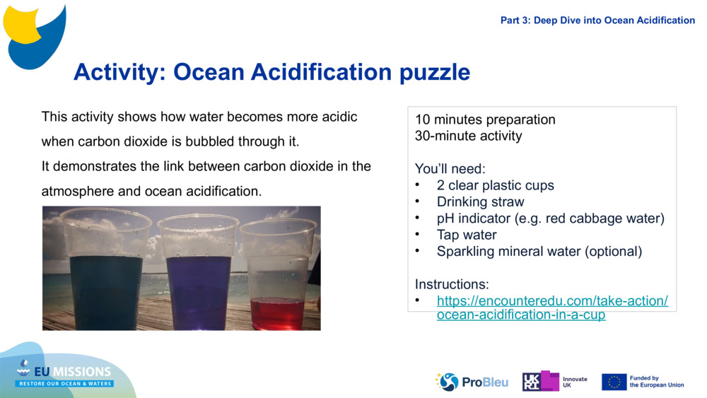Activity: Ocean Acidification puzzle