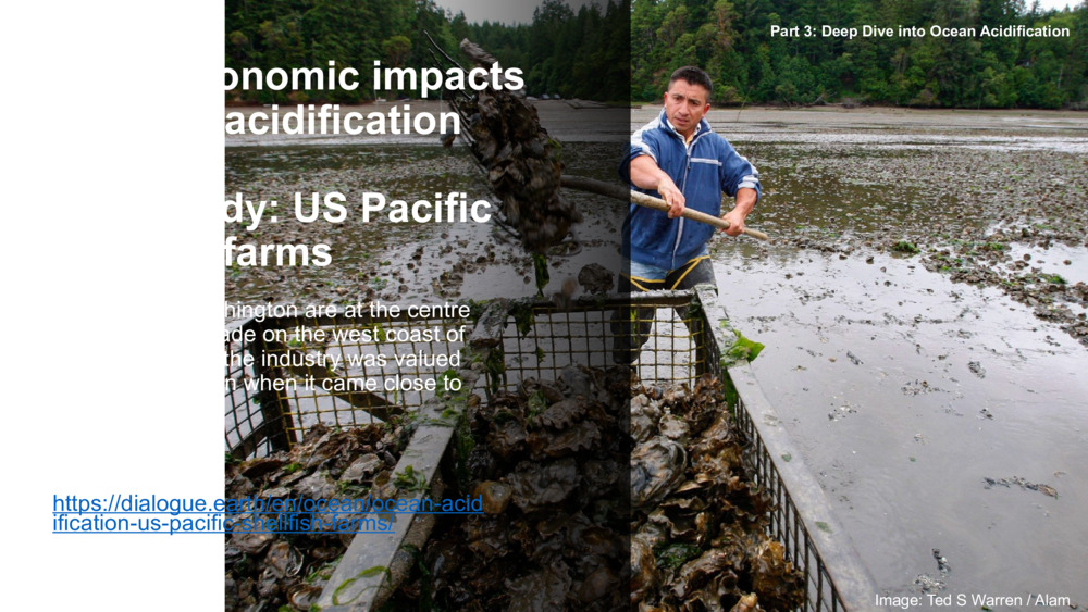 Socio-economic impacts of ocean acidification 