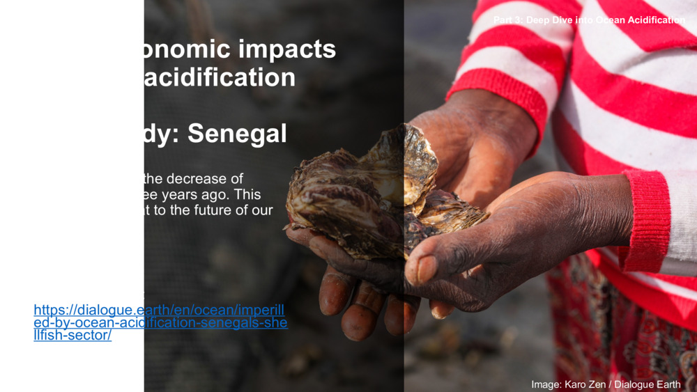 Socio-economic impacts of ocean acidification 
