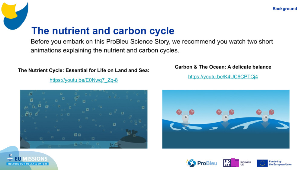 The nutrient and carbon cycle