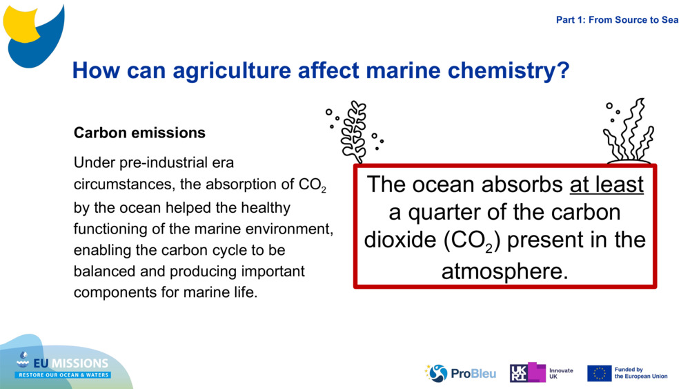Carbon emissions
