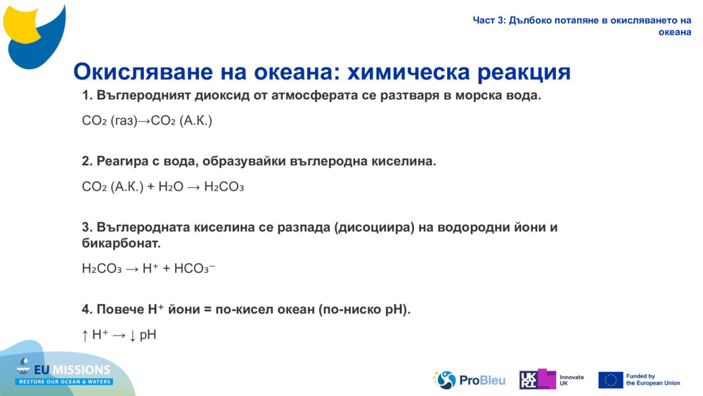 Ocean Acidification: A chemical reaction