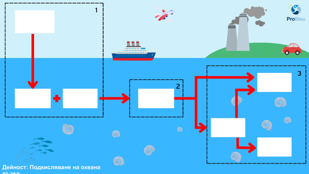 Activity: Ocean Acidification puzzle
