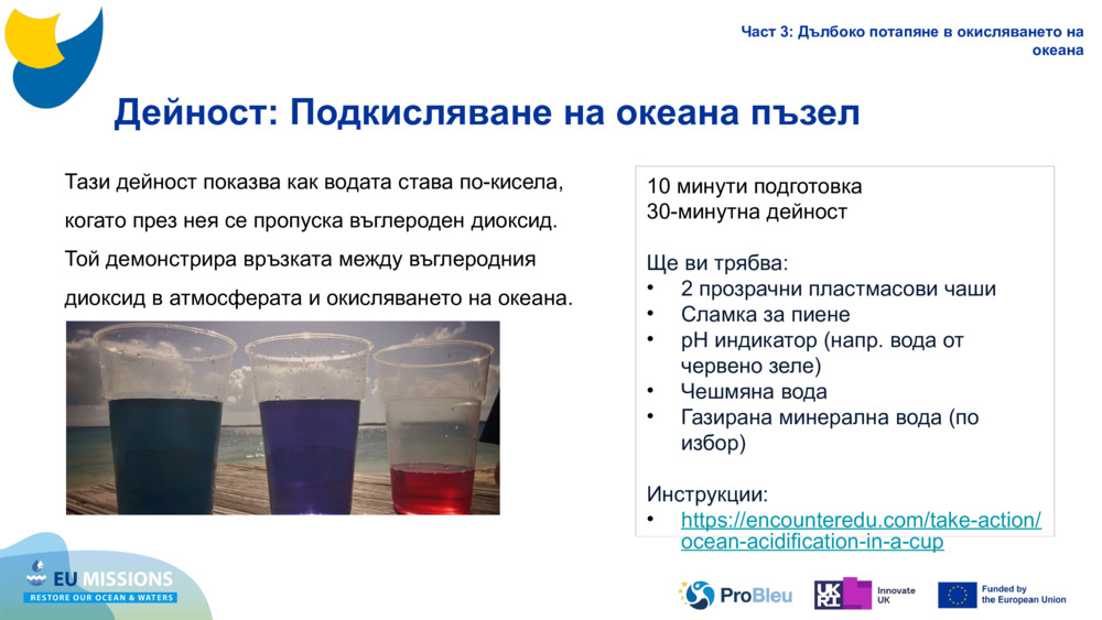 Activity: Ocean Acidification puzzle