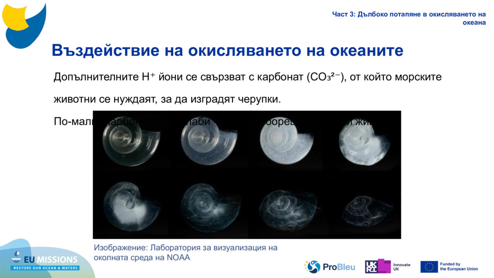 Impacts of Ocean Acidification