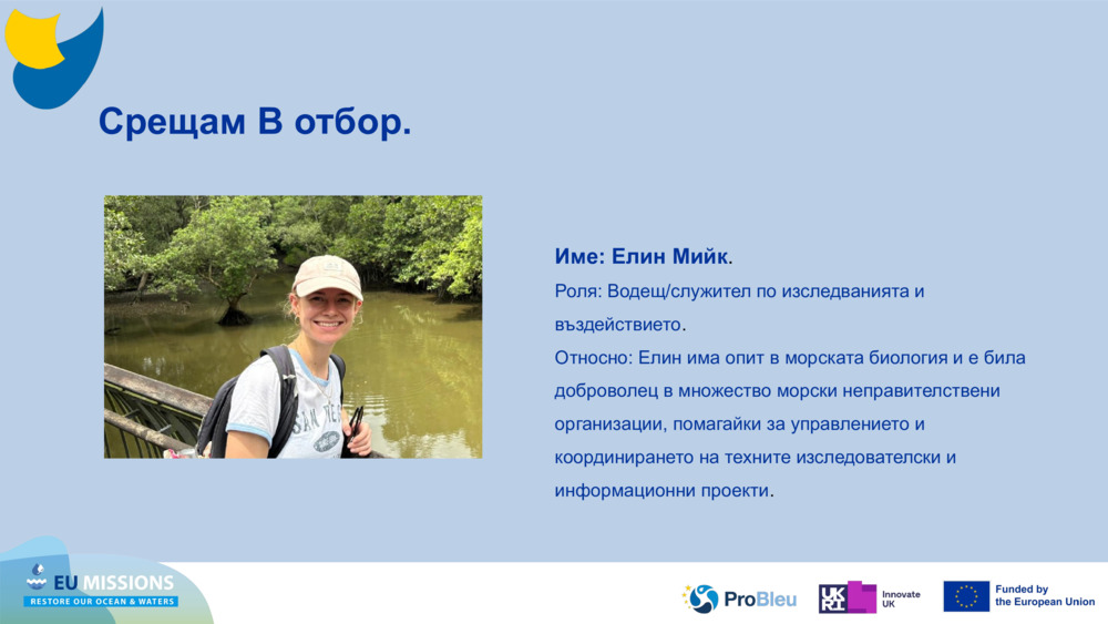 Meet