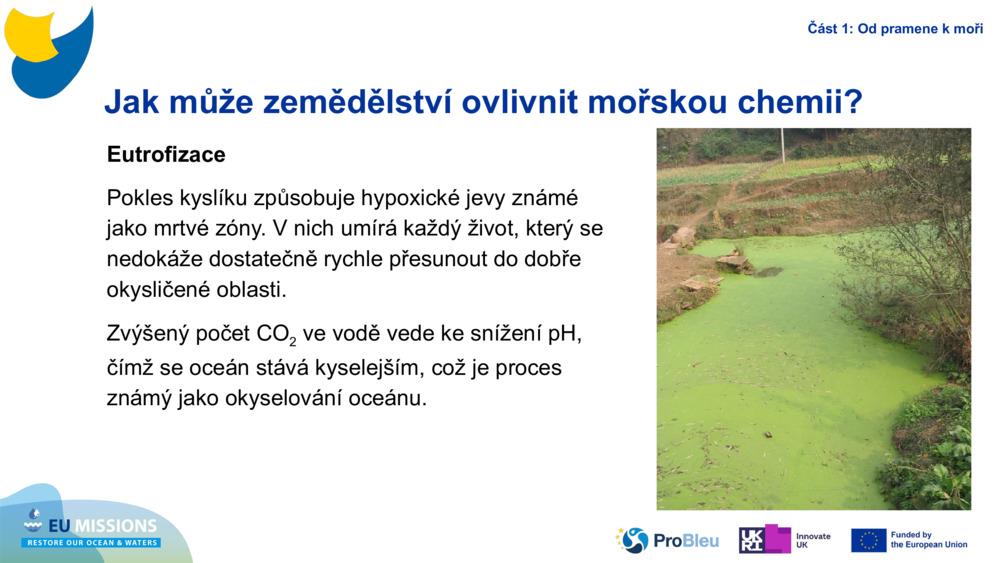 Eutrophication