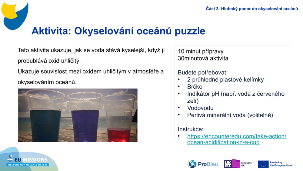 Activity: Ocean Acidification puzzle