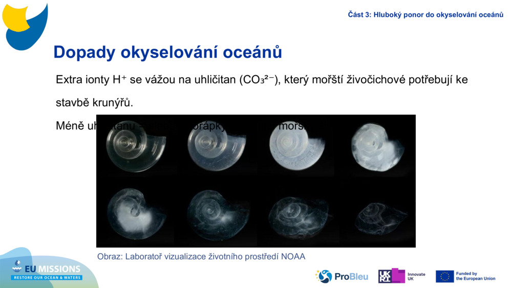 Impacts of Ocean Acidification