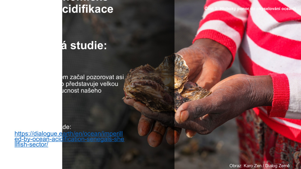 Socio-economic impacts of ocean acidification 
