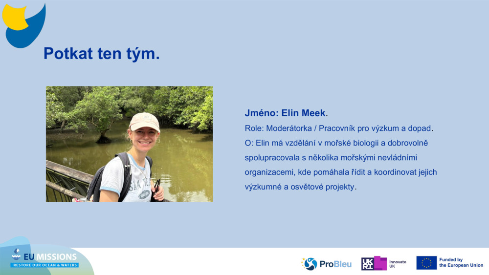 Meet