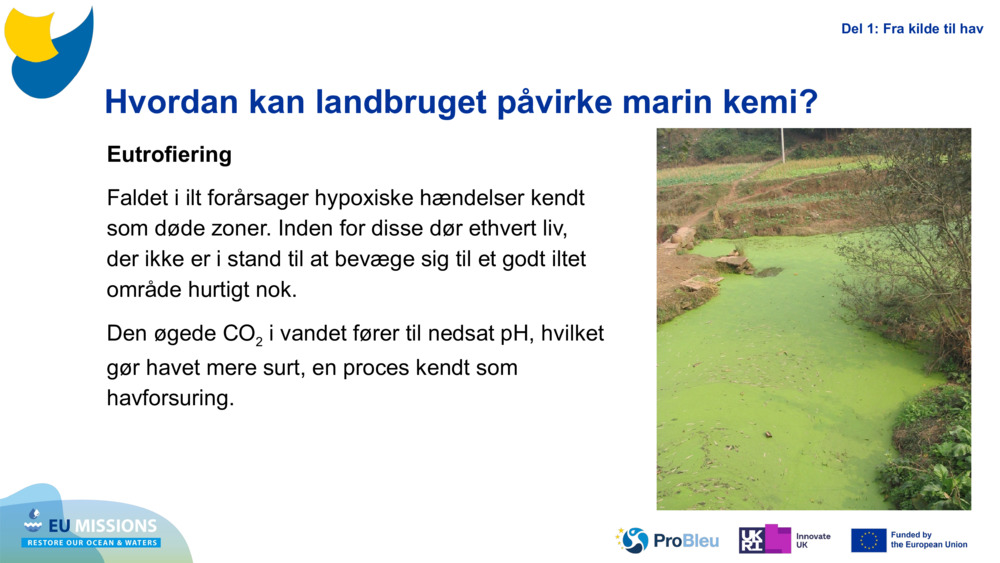 Eutrophication