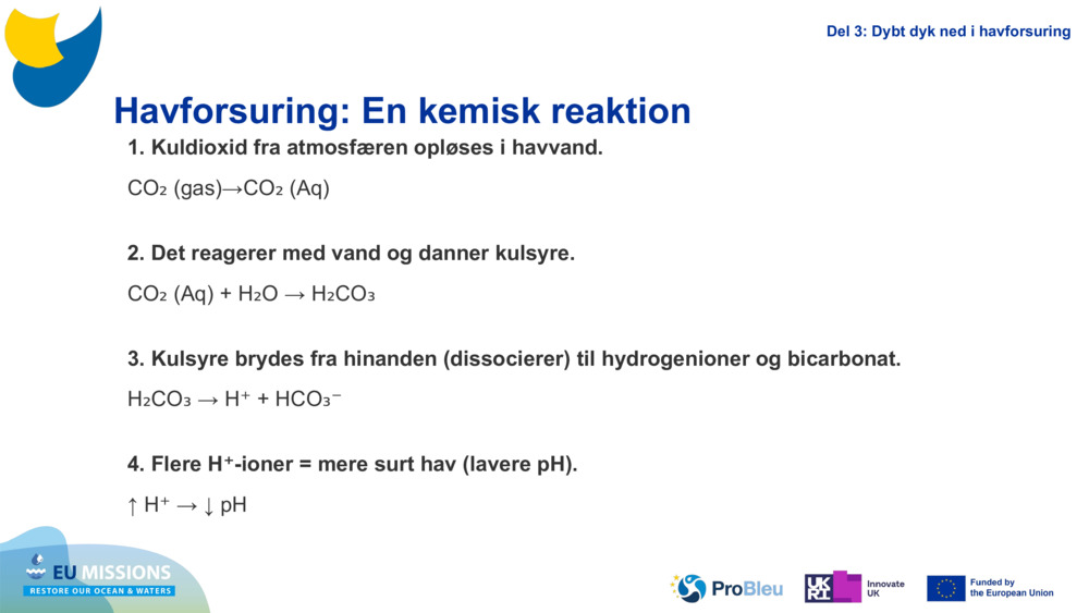 Ocean Acidification: A chemical reaction
