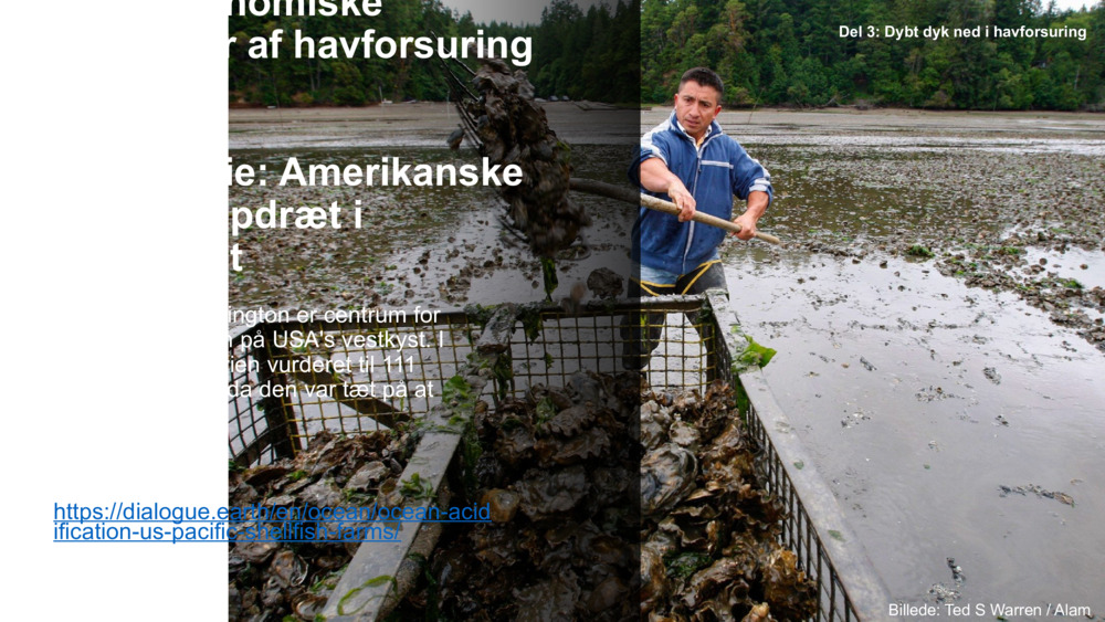 Socio-economic impacts of ocean acidification 