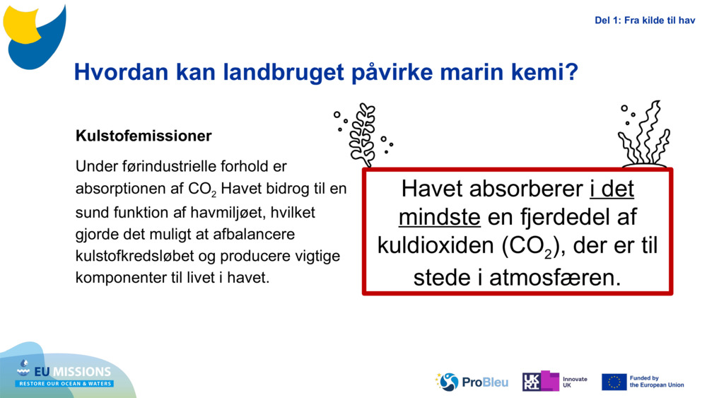 Carbon emissions
