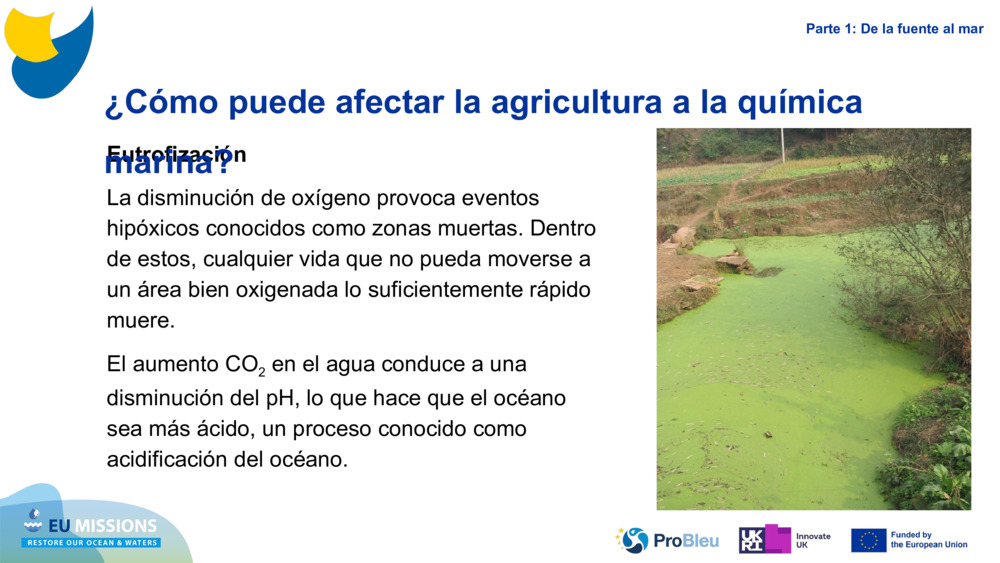 Eutrophication
