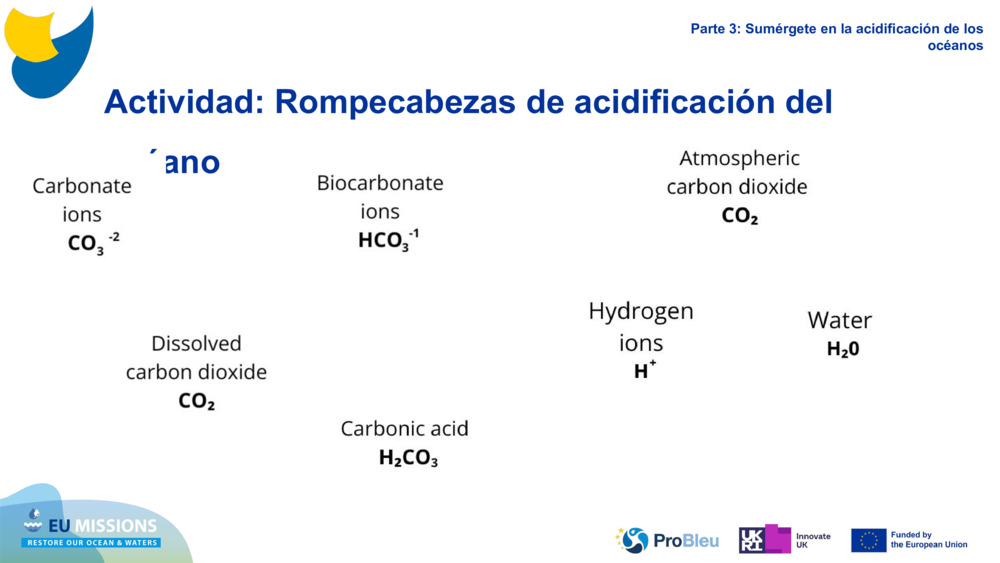 Activity: Ocean Acidification puzzle