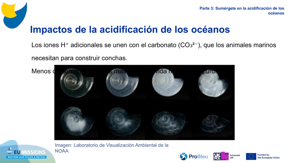 Impacts of Ocean Acidification