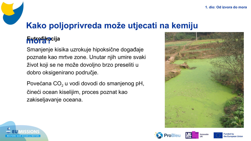 Eutrophication