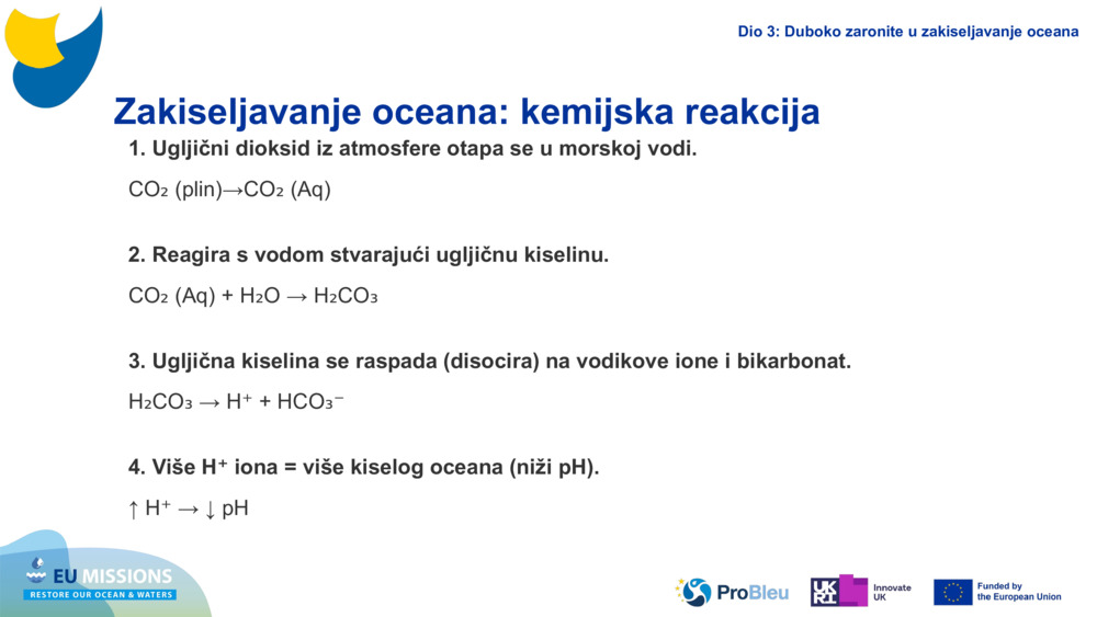 Ocean Acidification: A chemical reaction