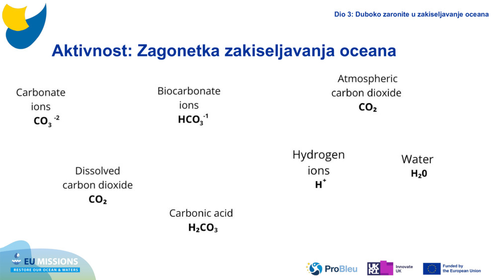 Activity: Ocean Acidification puzzle