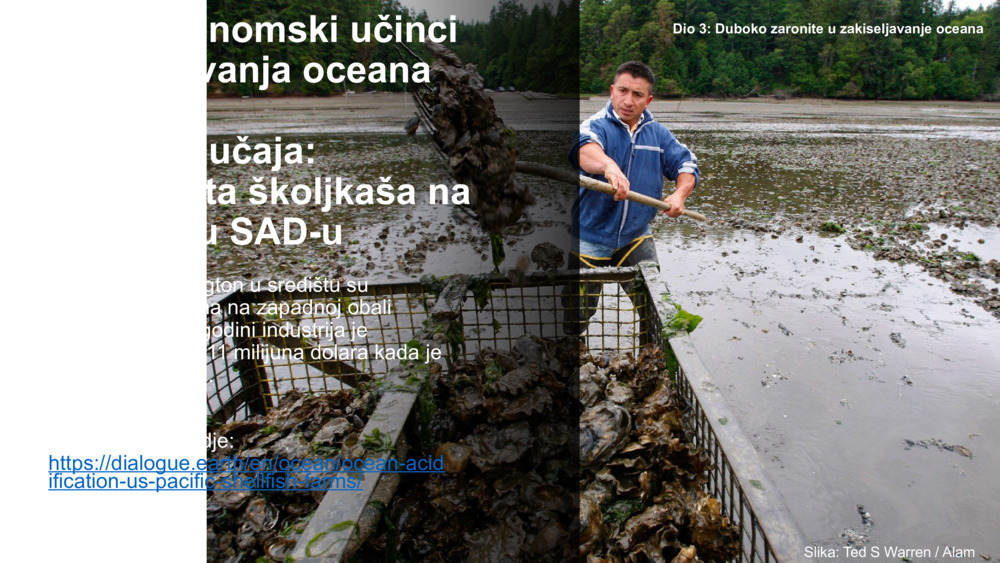 Socio-economic impacts of ocean acidification 