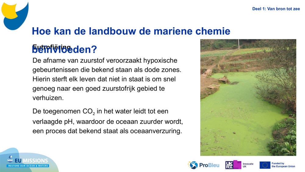 Eutrophication