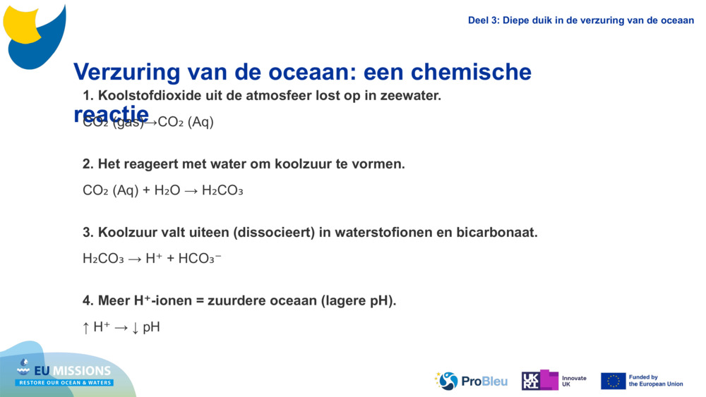Ocean Acidification: A chemical reaction