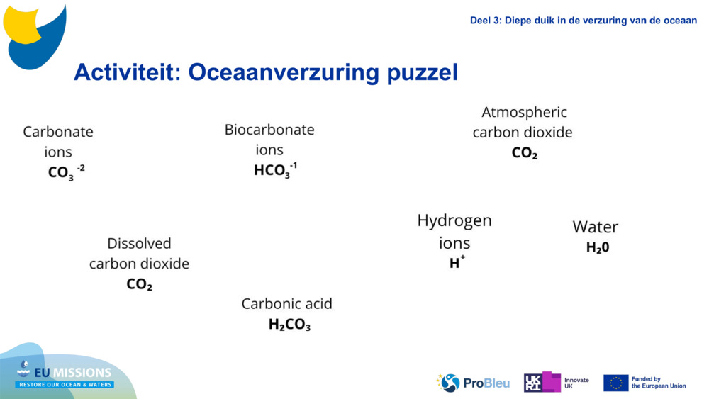 Activity: Ocean Acidification puzzle