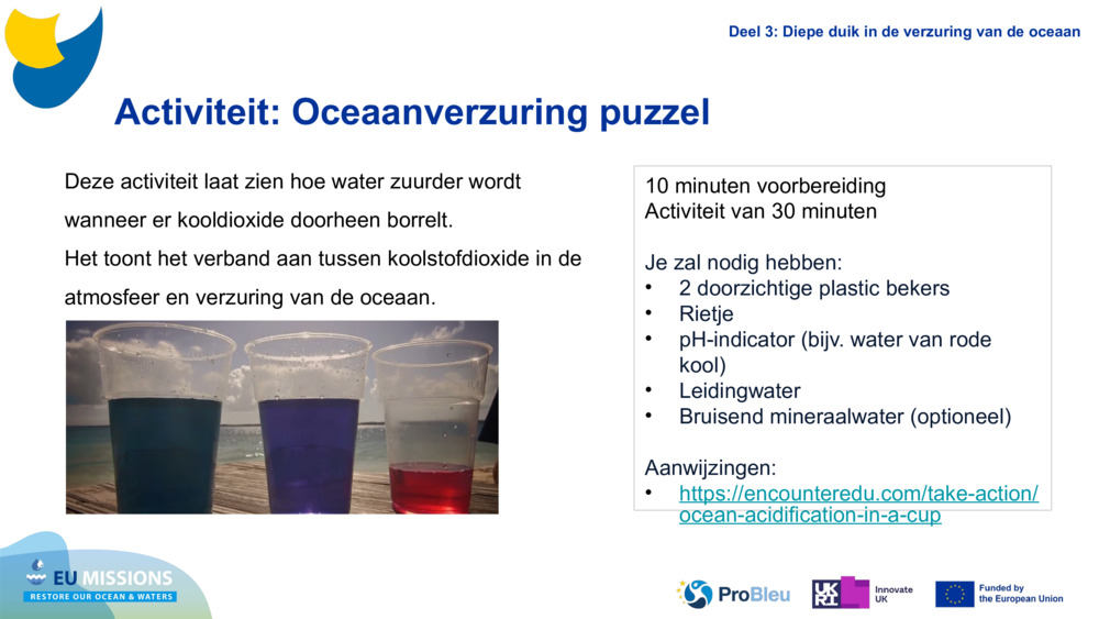 Activity: Ocean Acidification puzzle