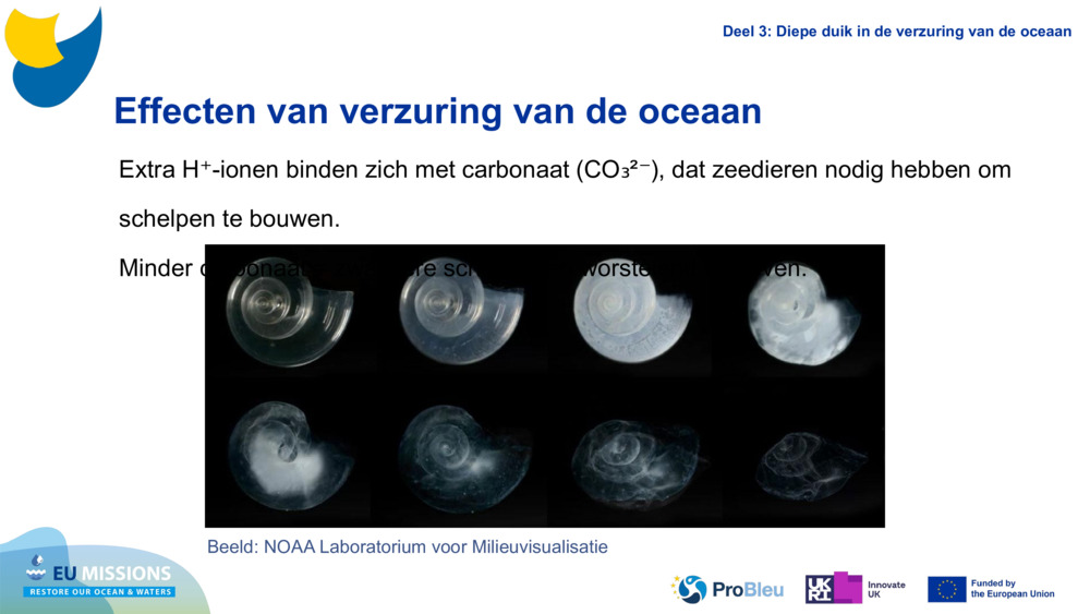 Impacts of Ocean Acidification