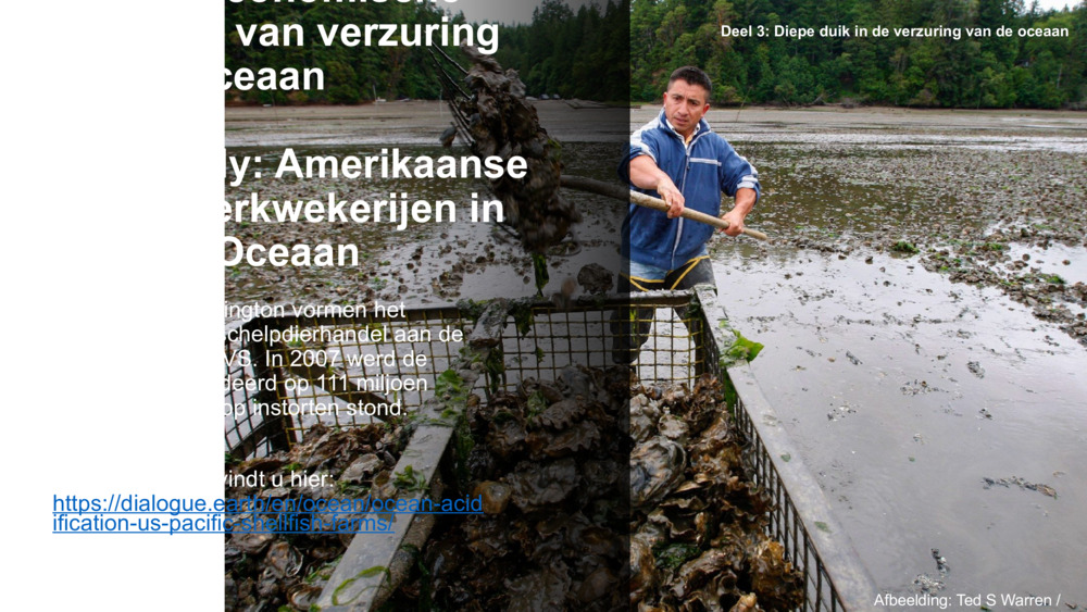 Socio-economic impacts of ocean acidification 